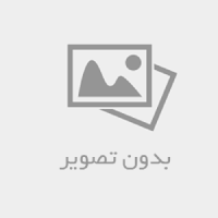 راهنمای ایجاد کمپین رسانه اجتماعی برای جذب لینک